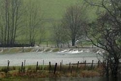 water over the river bank