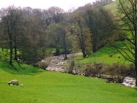 the Sprint in the valley bottom