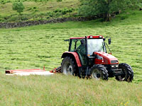 haymaking