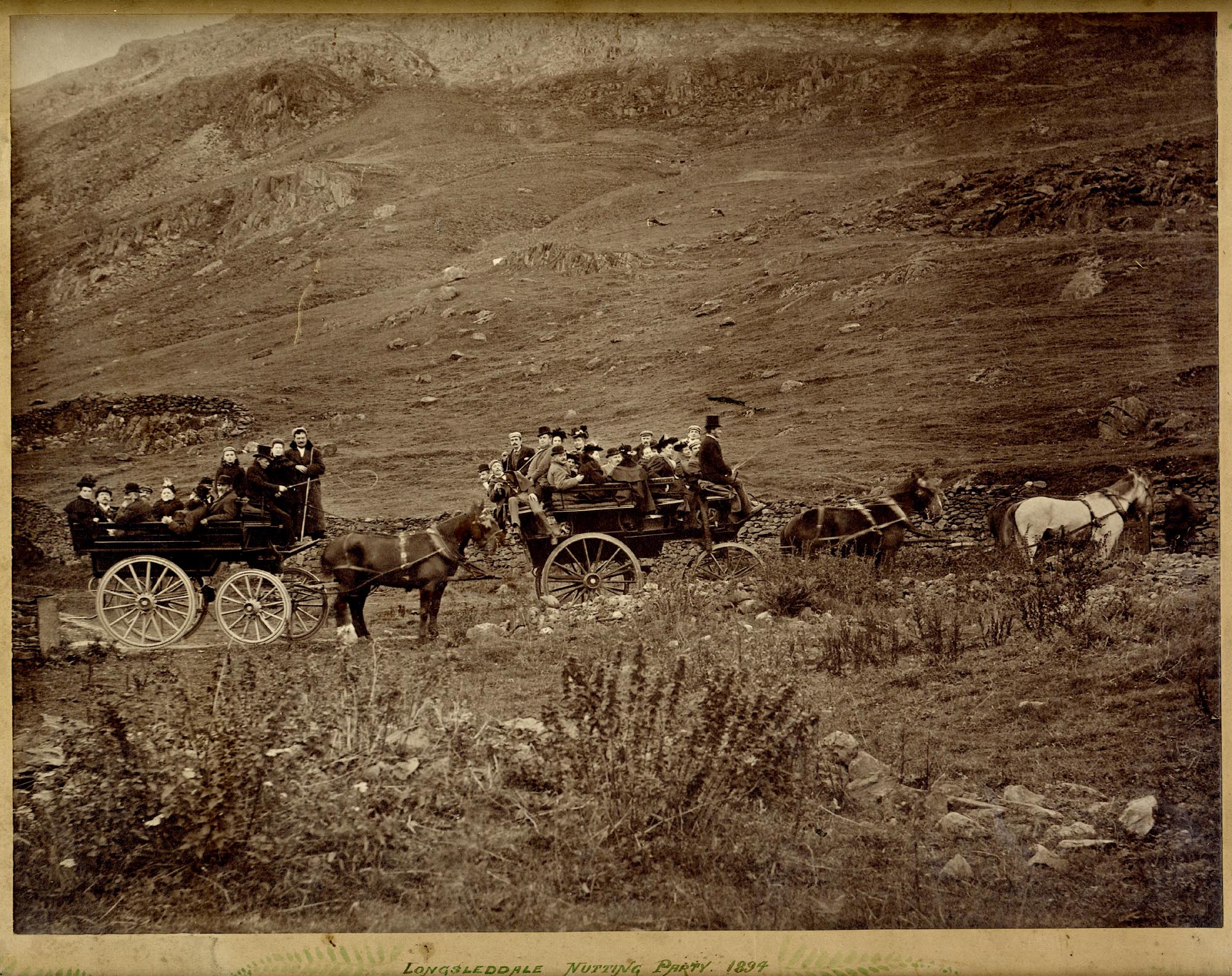 Nutting Party, Sadgill, 1894